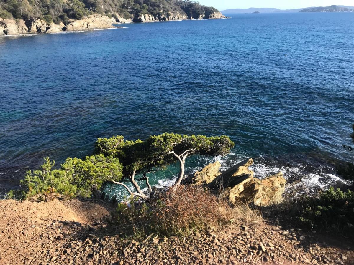 滨海拉塞讷La Pauseto别墅 外观 照片