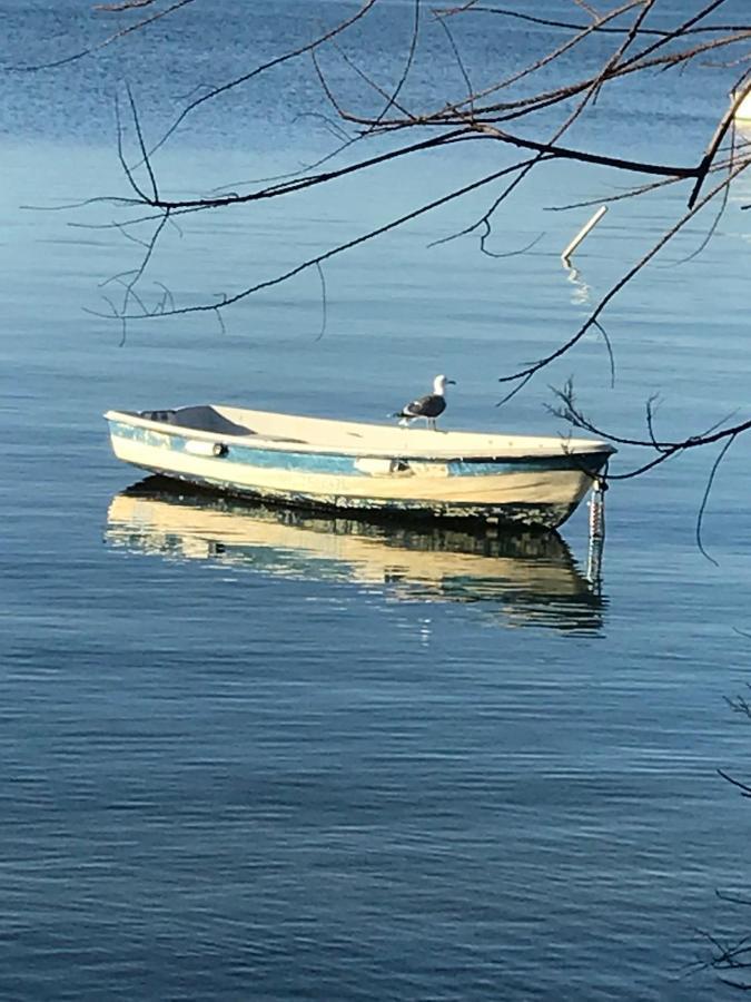 滨海拉塞讷La Pauseto别墅 外观 照片